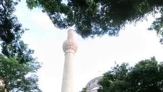 Япония – человек – манекен, красивый негр и мечеть в Токио
