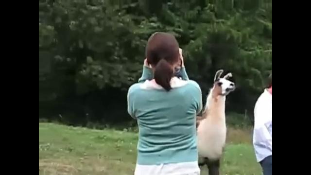 Человек и звери – Часть 2