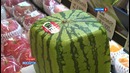 Квадратные арбузы Японии Square watermelons Japan