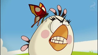 Angry Birds Toons. 43 серия – «The Butterfly Effect»