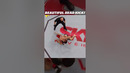 Beautiful Head Kick Knockout!! #ufc #mma