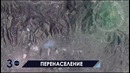 Плюсы и минусы клонирования человека