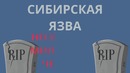 Briefly – Самые страшные яды