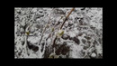 08.04.2020 aprelda qor yogvoti