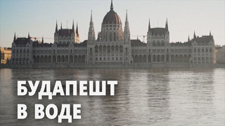 Не видели много лет: в столице Венгрии сильно разлился Дунай