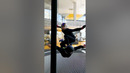 Who needs wings when you have a friend to lift you? #indoorskydiving