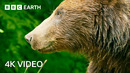 Awesome 4K Nature Scenes Narrated By Helena Bonham-Carter | BBC Earth