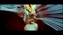 Samsara – Vidia Wesenlund Очень классная успокаивающая музыка