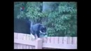 Таких приколов Вы еще не видели