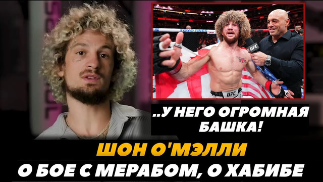 «У Мераба огромная башка!» Шон О Мэлли о бое с Мерабом Двалишвили | FightSpace MMA