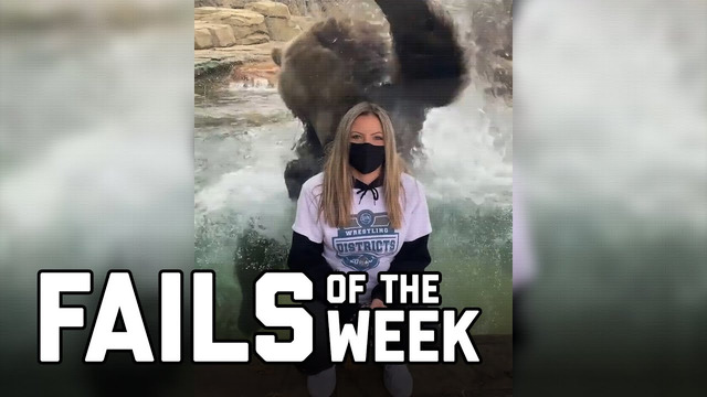 Bear With Me: Fails of the Week (January 20210)