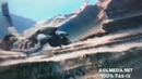 Шок! гигант илон верталётга хужум килди! гигант махлуклар