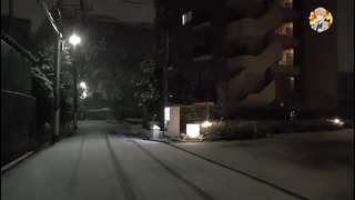 Первый Снег в Токио