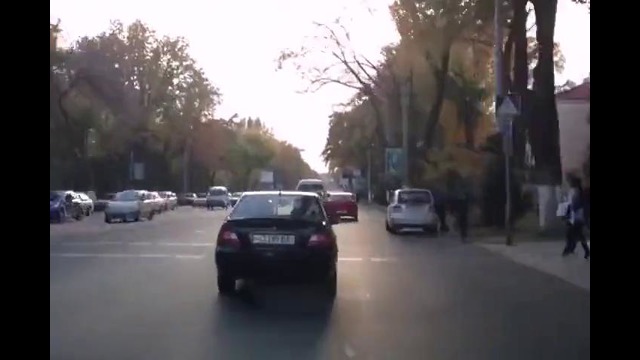 Ташкент. Спасение таксы Киры