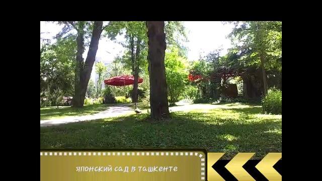 Ташкент – Японский сад. Лето 2012