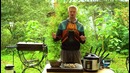 Вообще элементарные креветки