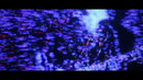 Elwood Stray – Neon Fade (Official Music Video 2026)