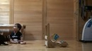 Кот-гуру обучает человеческого детёныша ходить)