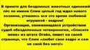 Пес от одиночества считал ведро своим другом