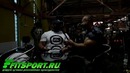 Дмитрий Голубочкин. Подборка смеха