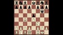 Основы шахматной игры. Часть 1 – Основы дебюта