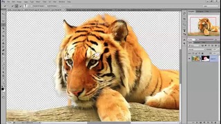 Big Cat – Photo Manipulation Tutorial ( Photoshop )