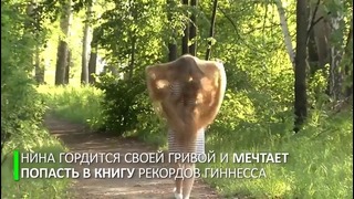 Сибирская Рапунцель идёт на мировой рекорд