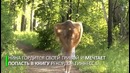 Сибирская Рапунцель идёт на мировой рекорд