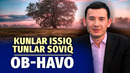 Hafta issiq bo‘ladi