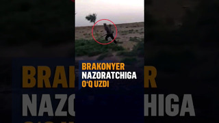 Buxoroda brakonyer ekologiya inspektoriga o‘q uzdi #uzbekistan #rek #news #buxoro #bukhara