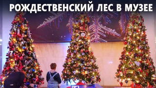 57 украшенных ёлок: в Чикаго показали рождественские традиции разных стран