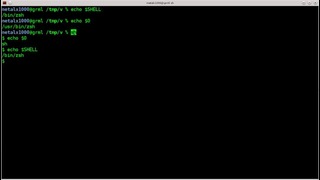 Shell Script – What Shell Am I Running – Linux – BASH – zsh – tutorial
