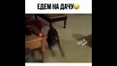 Едем на дачу:)