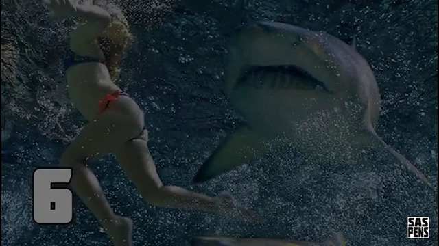 10 жутких случаев нападения акул