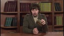 Биология – Зоология – Класс Рептилии. Отряды Черепахи, Крокодилы