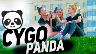 Cygo – panda e музыкальный пранк