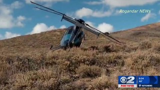 В США вертолет потерпел крушение после столкновения с лосем