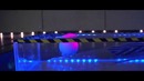 Sphero 2.0