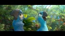 Рио 2 (Rio 2) – дублированный трейлер