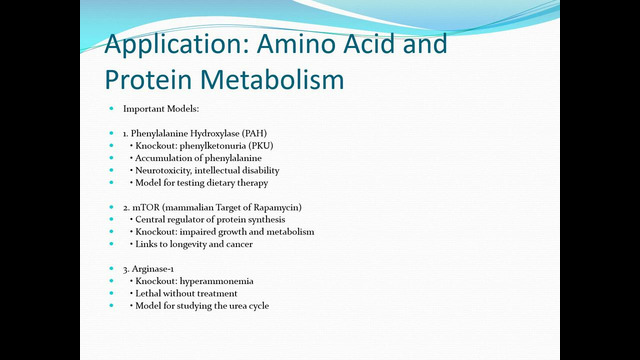 Knockout Transgenic Models Presentation EN video