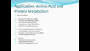 Knockout Transgenic Models Presentation EN video