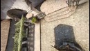 TEST SMOOTH (by darks1de)