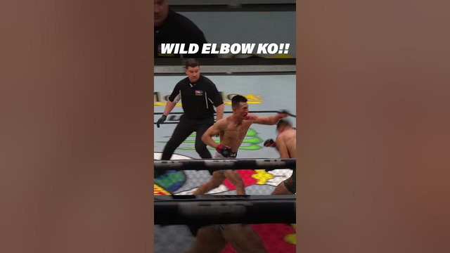 This is the WILDEST Elbow Knockout in UFC History #mma #shorts