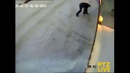 Хотел поприкалываться над собаками