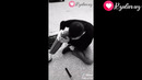 TikTok видео № 2
