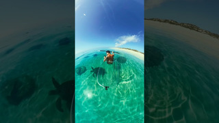 Transparent Kayak In Turtle City