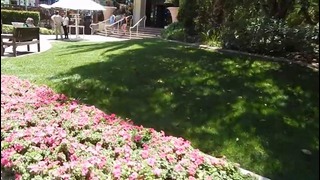 Лас Вегас, Невада, США. Тропический сад, отель «Flamingo»