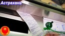 Железный человек с паспортом СССР получил билет с банка России)