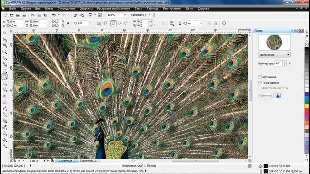 CorelDraw Урок 20. Эффект линзы