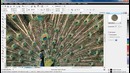 CorelDraw Урок 20. Эффект линзы